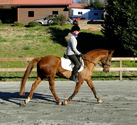 Picture